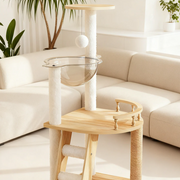 How to Create a Stylish Indoor Playground for Your Cat