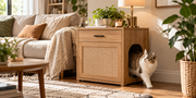 Modern wooden cat litter box enclosure front view