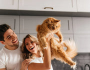 Love And Care For Pets