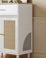 Hidden Litter Box Cabinet with Scratch Pad